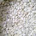 New Crop Snow White Pumpkin Seeds